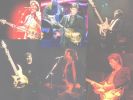 Paul McCartney Live
Music Wallpaper